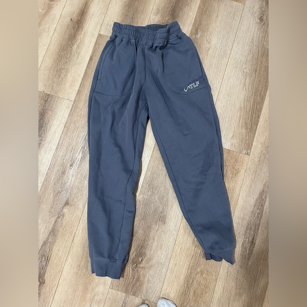 Grayish blue joggers from TLF. XS.